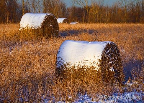 Snow-capped Bales_03151.jpg - Photographed at sunrise near Frankville, Ontario, Canada.